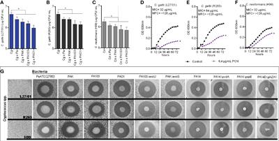 Pseudomonas aeruginosa Infection Modulates the Immune Response and Increases Mice Resistance to Cryptococcus gattii